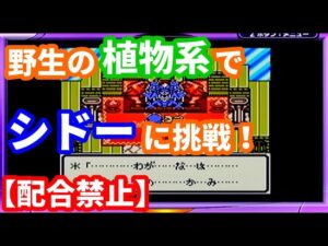 【挑戦】野生の植物系モンスター達でシドーに勝てるのか⁉【テリワンレトロ実況】