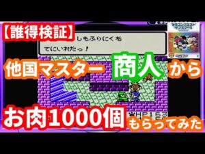 【誰得検証】他国マスター商人からお肉1000個もらってみたら…【テリワンレトロ実況】