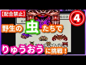 【挑戦】④野生の虫系モンスター達でりゅうおうに勝てるのか⁉【テリワンレトロ実況】