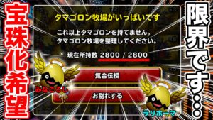 【DQMSL】タマゴの宝珠化を望みます…!! 期間限定の超マス忘れないように!!【ドラクエ】