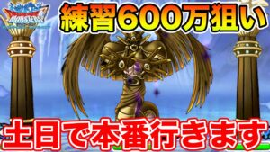 【DQMSL】土日の本番に向けてランクエ練習します!! 目指せ600万超え!!【ドラクエ】