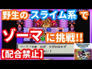 【挑戦】野生のスライム系モンスター達でゾーマに勝てるのか⁉【テリワンレトロ実況】