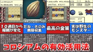 【テリーのワンダーランド】コロシアムの有効活用法を解説【ドラゴンクエストモンスターズ】