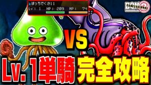 【ジョーカー2P縛りプレイ】レベル1単騎で真のチャンピオンになってみる。-Part10-【ドラクエモンスターズゆっくり実況】
