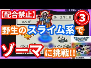 【挑戦】③野生のスライム系モンスター達でゾーマに勝てるのか⁉【テリワンレトロ実況】