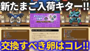 【ドラクエウォーク】新たまご入荷キター！！これから割るべきモンスターのたまごはコレだ！！【モンスターグランプリ】
