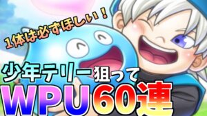 【ドラクエタクト】少年テリー狙いのWPU６０連ガチャ