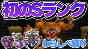【テリワン3Dわらしべ縛り】はじめに捕まえた3匹のモンスターは最強になれるのか？【ドラクエモンスターズゆっくり実況】#17