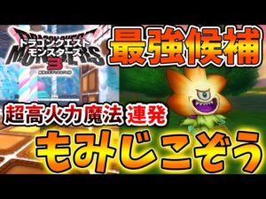 【ドラクエモンスターズ3】超高火力の魔法を連発できる「もみじこぞう」がガチで強すぎる【DQM3/攻略/実況/ドラゴンクエストXII 選ばれし運命の炎/ドラクエ12/体験版/製品版/ピサロ