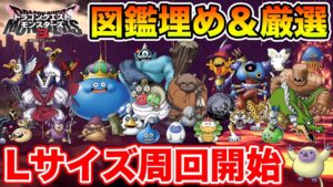 【DQM3】引継ぎ8体どうする!? Lサイズ厳選＆図鑑埋め着手!!【ドラクエ】