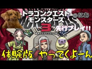 [ドラゴンクエストモンスターズ３]こんな時間誰も起きてないだろう??