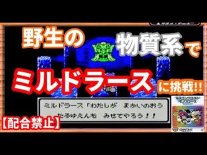 【野生で魔王挑戦】野生の物質系モンスター達でミルドラースに勝てるのか⁉【テリワンレトロ実況】
