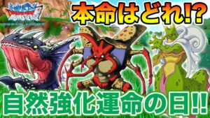 【DQMSL】自然強化が来るなら明日!! 新生? 新レジェンド? 新系統の王!?【ドラクエ】