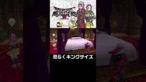 もっと他に気にする事あるだろ【ドラクエモンスターズ３体験版】#shorts