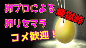 【ドラクエモンスターズ3】たまごプロは2時間で何個割れるのか 質問受け付けてます！【DQM3】