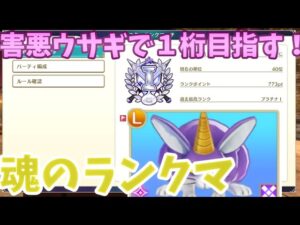 【ドラクエモンスターズ3】ウサギミラーと番人を許さないランクマ　１桁目指す！【DQM3】