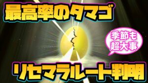 【ドラクエモンスターズ3】最高率のタマゴリセマラルートが判明!【DQM3】