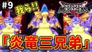 【ドラクエモンスターズ3】#9  炎竜三兄弟がコントすぎるwwなんだこのかわいい奴らは!!※ネタバレ注意【魔族の王子とエルフの旅】