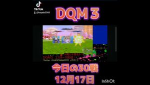 【DQM３】今日の30戦12月17日【ドラゴンクエストモンスターズ3】