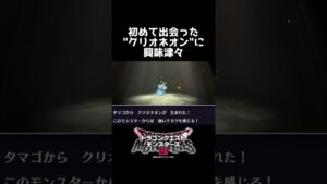 初めて出会った"クリオネオン"に興味津々【ドラゴンクエストモンスターズ3】 #shorts #DQM3