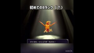 初めてのBランク（？）　 #ゲーム実況 #ドラクエ #ドラクエモンスターズ #ドラクエモンスターズ3 #dqm3 #dqm #ドラゴンクズエスト #ドラゴンクエストモンスター