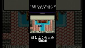 【DQM テリーのワンダーランド】いざ星降りの大会へ！【レトロゲーム】