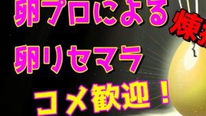 【DQM3】ゾーマ作るか　コメント質問歓迎！【ドラクエモンスターズ3】【対戦】