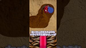【ダンジョンえび】モンスターズ出の奇天烈モンスター紹介【その2】