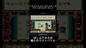 【DQM テリーのワンダーランド】ミレーユとのラストバトルへ!【レトロゲーム】