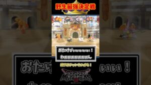 【DQM3】野生最強のモンスターって誰なん？【ドラクエモンスターズ3】