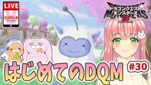 【ドラクエモンスターズ3】可愛いモンスターつくるよ～！【女性実況】