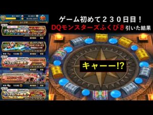 【ドラクエウォーク】ゲーム初めて230日目!DQモンスターズ記念ふくびき引いた結果・・・