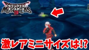 【DQM3】超苦戦！激レアなミニミニサイズのかわいいモンスターズを探そう！【ドラクエモンスターズ３】