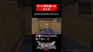 ついに罪を犯した主人公【ドラゴンクエストモンスターズ３】