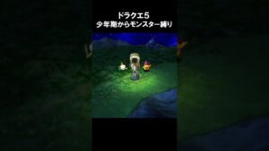ドラクエ5 少年期からモンスター縛り   #ドラクエ5
