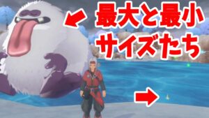 【DQM3】最大サイズと最小サイズのモンスターを探そう!【ドラクエモンスターズ3】