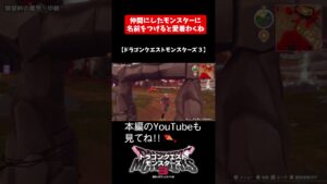 仲間にしたモンスターに名前をつけると愛着わくね【ドラゴンクエストモンスターズ３】