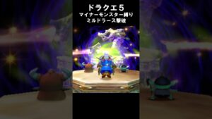 マイナーモンスター縛りでミルドラース撃破   #ドラクエ5