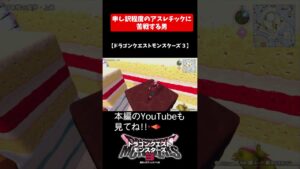 申し訳程度のアスレチックに苦戦する男【ドラゴンクエストモンスターズ３】